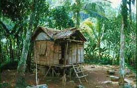 A family of two adults and six children lived for over five years in this house near Lake Balinsasayao on Negros Island. Check copyright. 